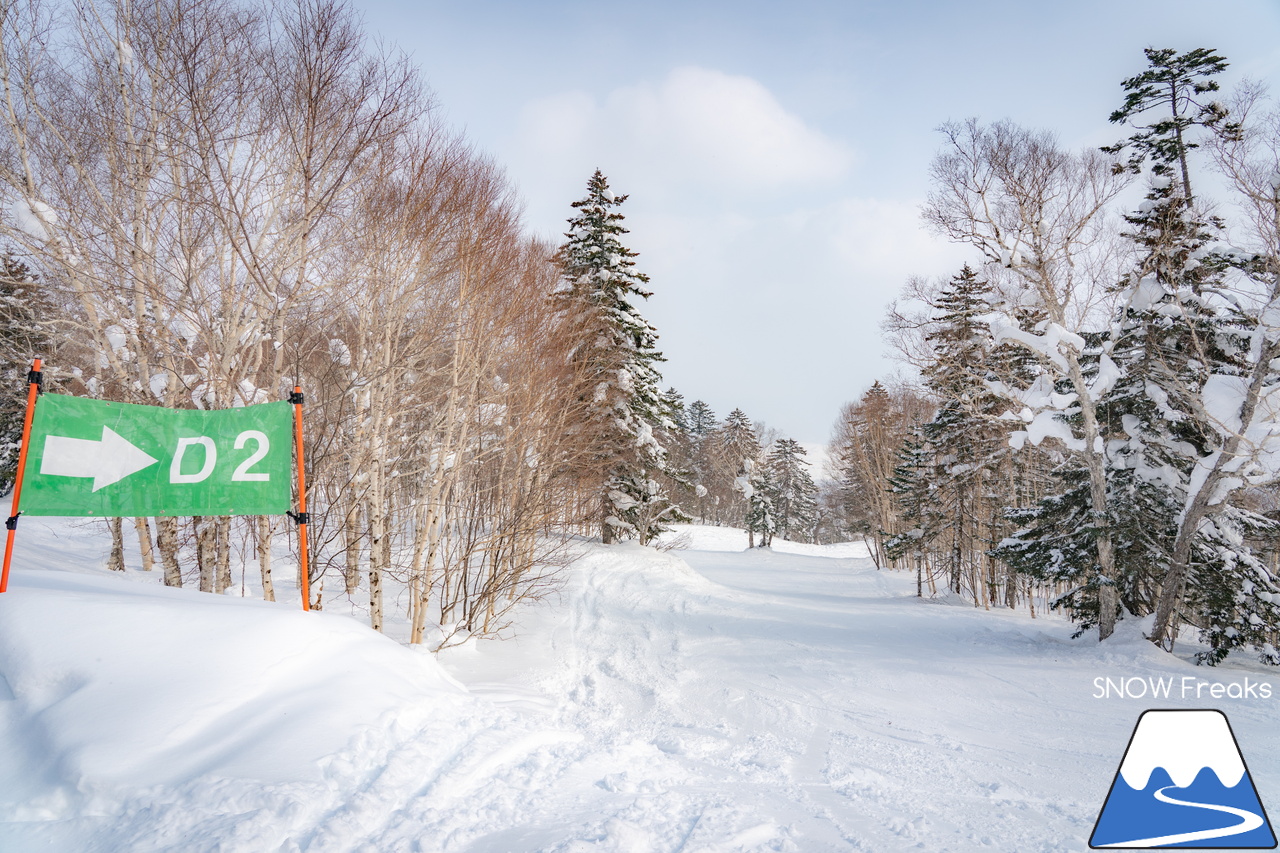 富良野スキー場｜やっぱり富良野は広かった！コース数は全部で「28本」。富良野ZONE上部だけでも滑り応えたっぷり♪